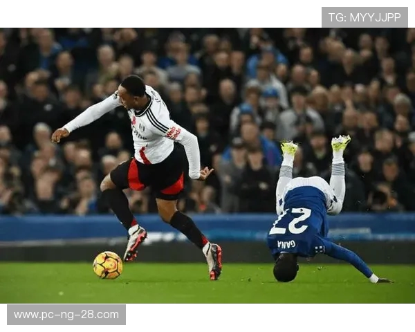 富勒姆与埃弗顿精彩对决直播全程回顾与赛后分析